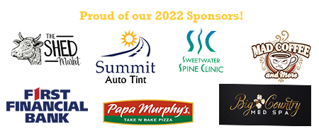 Sponsor panel 2022